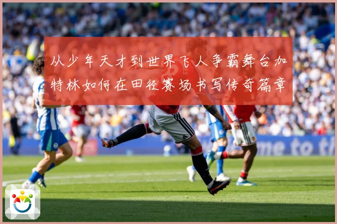 从少年天才到世界飞人争霸舞台加特林如何在田径赛场书写传奇篇章